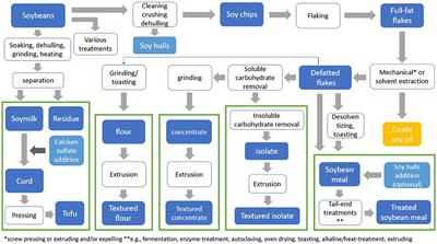 Protein quality of soy and the effect of processing: A quantitative review